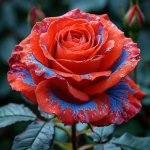 Роза Сикрет Гарден купить по цене от 619р. в интернет-магазине «Посадика» с доставкой почтой в в Сосенскийе и по всей России – [изображение №1].